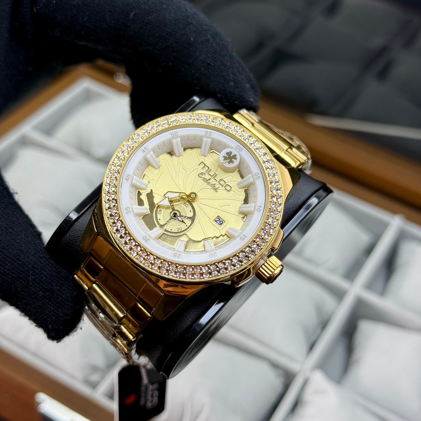 MULCO EICHANTEL UNISEX REF-DD