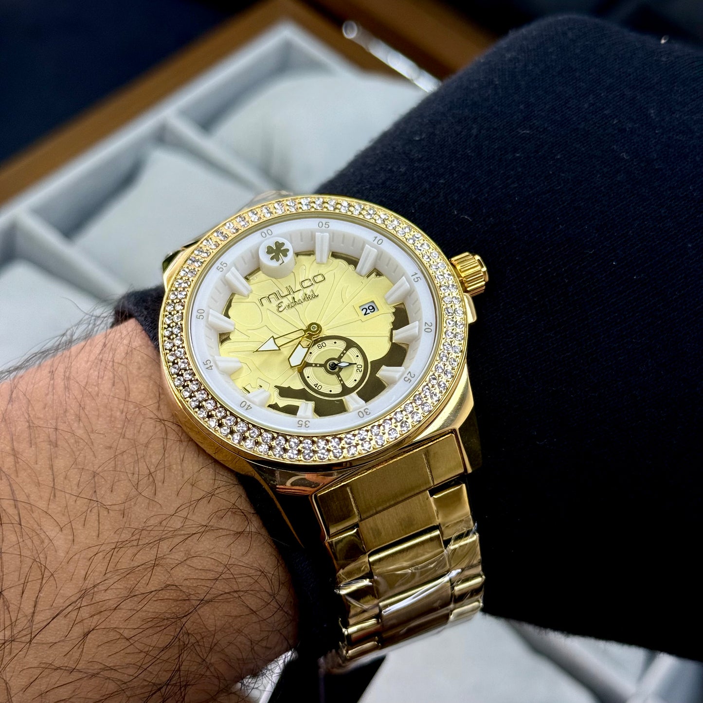 MULCO EICHANTEL UNISEX REF-DD