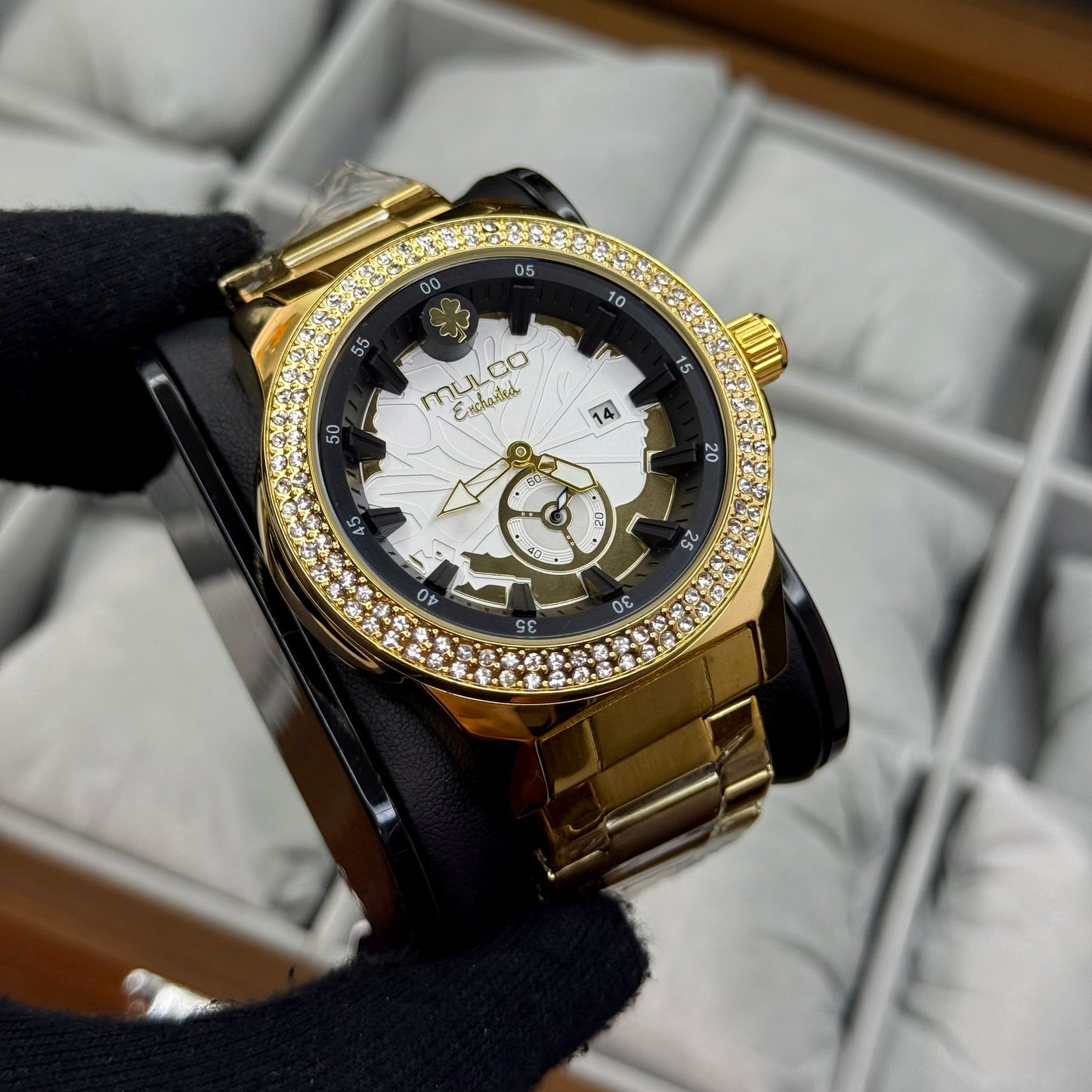 MULCO EICHANTEL UNISEX REF-DN